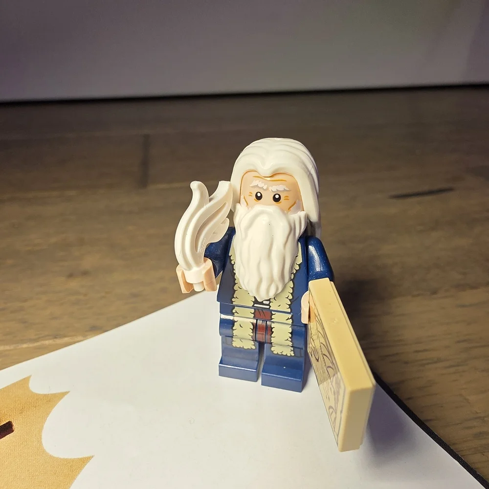 LEGO Icons Set 10363 – Leonardo da Vinci’s Flying Machine - Picture 8 of 8